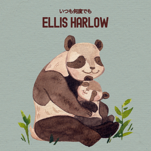 いつも何度でも (ピアノ)『千と千尋の神隠し』より