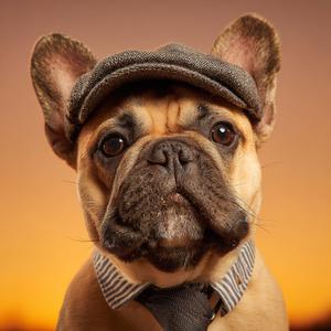 Every Day, Pouring Morning Light and Water into a Glass