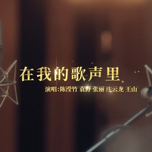 在我的歌声里