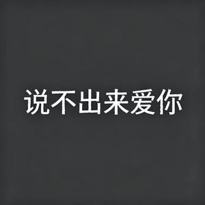 说不出来爱你