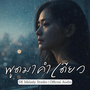 พูดมาคำเดียว