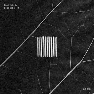 Organic 2 (Original Mix)