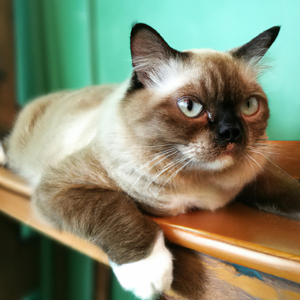 ran lam kiem tien lo cho cuc dang