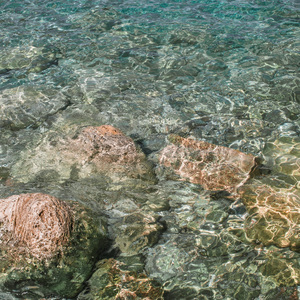 Estrellas Despiertas