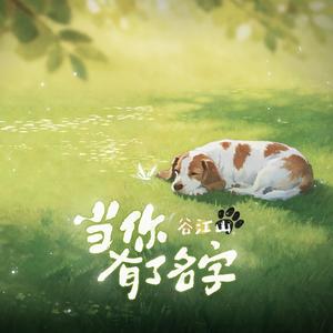 当你有了名字（关爱实验犬公益主题曲）