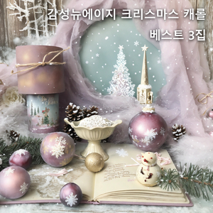 아기 예수 나셨네