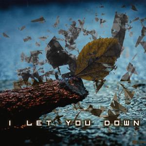 I Let You Down