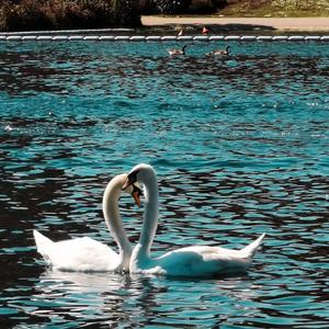 情感交织 温馨浪漫