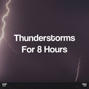 호우 잠