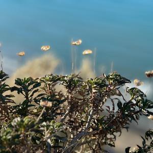 Astrabeat Electromusic