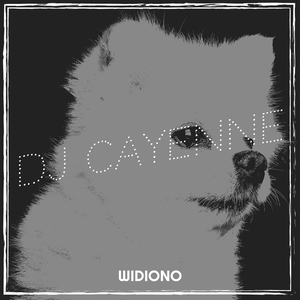DJ Cayenne