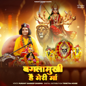 Baglamukhi He Meri Maa