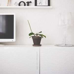 Tiny Pots, Tiny Bugs