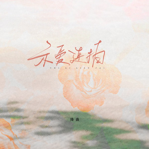 示爱连拍