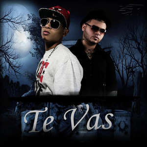 Te Vas (Version Reggaeton)