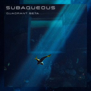 Subaqueous