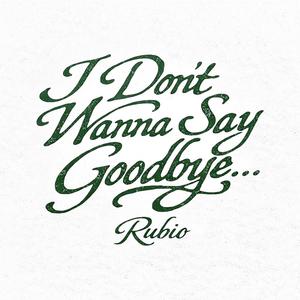 I Don't Wanna Say Goodbye