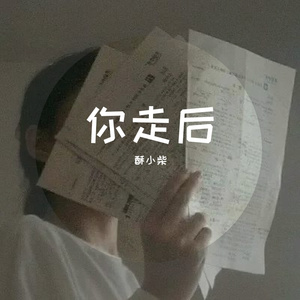 mi你走后（翻自 穆哲熙）