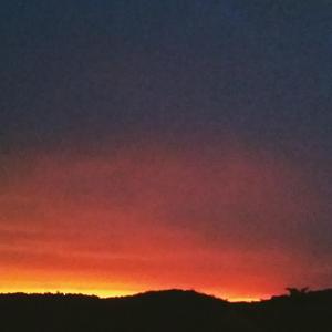 When Morning Comes