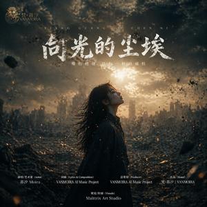 向光的尘埃