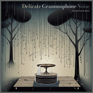 Delicate Grammophone Noise