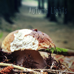 It's Hard to Be a Woman (In a White-Man's World)