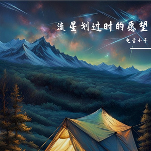 流星划过时的愿望