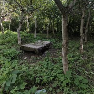 告别 / 第零封信