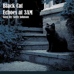 Black Cat Echoes at 3AM