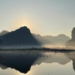 梅香傲霜雪 (现场)