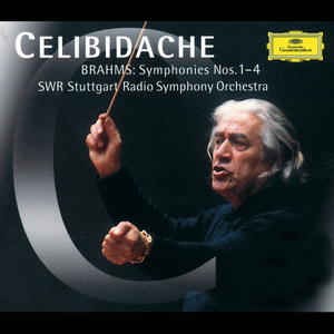 Symphony No. 1 in C Minor, Op. 68:II. Andante sostenuto