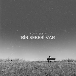 Bir Sebebi Var