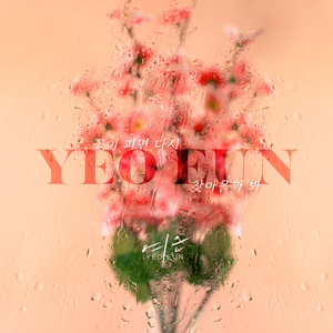 꽃이 피면 다시 찾아올까 봐