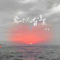 爱一个人有多累 (DJ版)