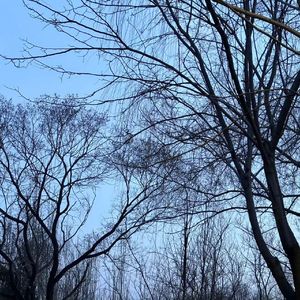 [FREE] "神龛" SASIOVERLXRD x 底特律 Type Beat