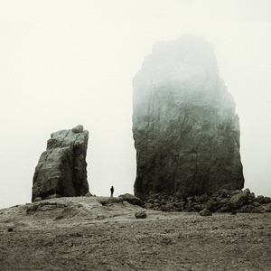 Reunion (feat. Marie Angerer)