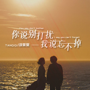 你说别打扰 我说忘不掉