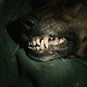 Playin' Low (Don't Quit)