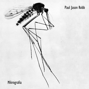 Mikrograf No. 6