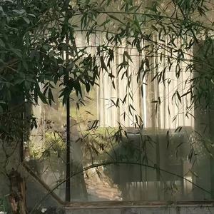 千年（古韵版）