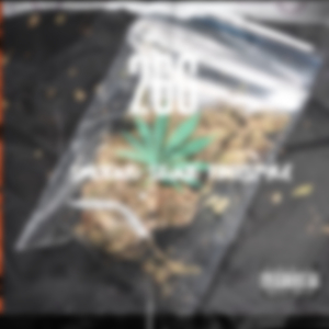 Smoking Skunk freestyle (feat. Gruppy)