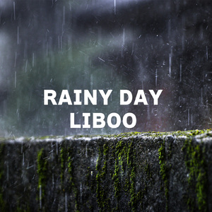 RAINY DAY