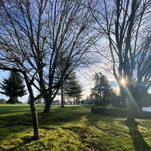 Play Yo Part (feat. JEPA) (Radio Edit)