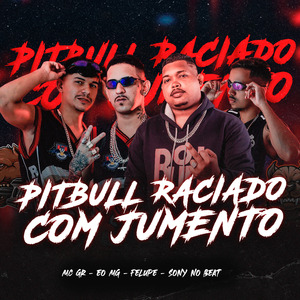 Pitbull Raciado Com Jumento