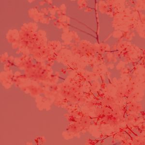 柔和的星期日早上时刻