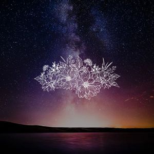 星降之森（中日双语版）