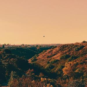 Black Sage & Lavender