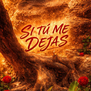 SI TÚ ME DEJAS