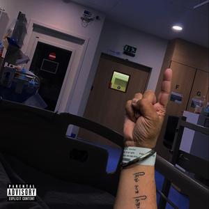 Lions and Bees (feat. Method Man, Redman & Daman Hayer)