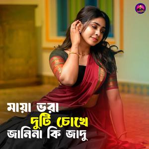 মায়া ভরা দুটি চোখে জানিনা কি জাদু